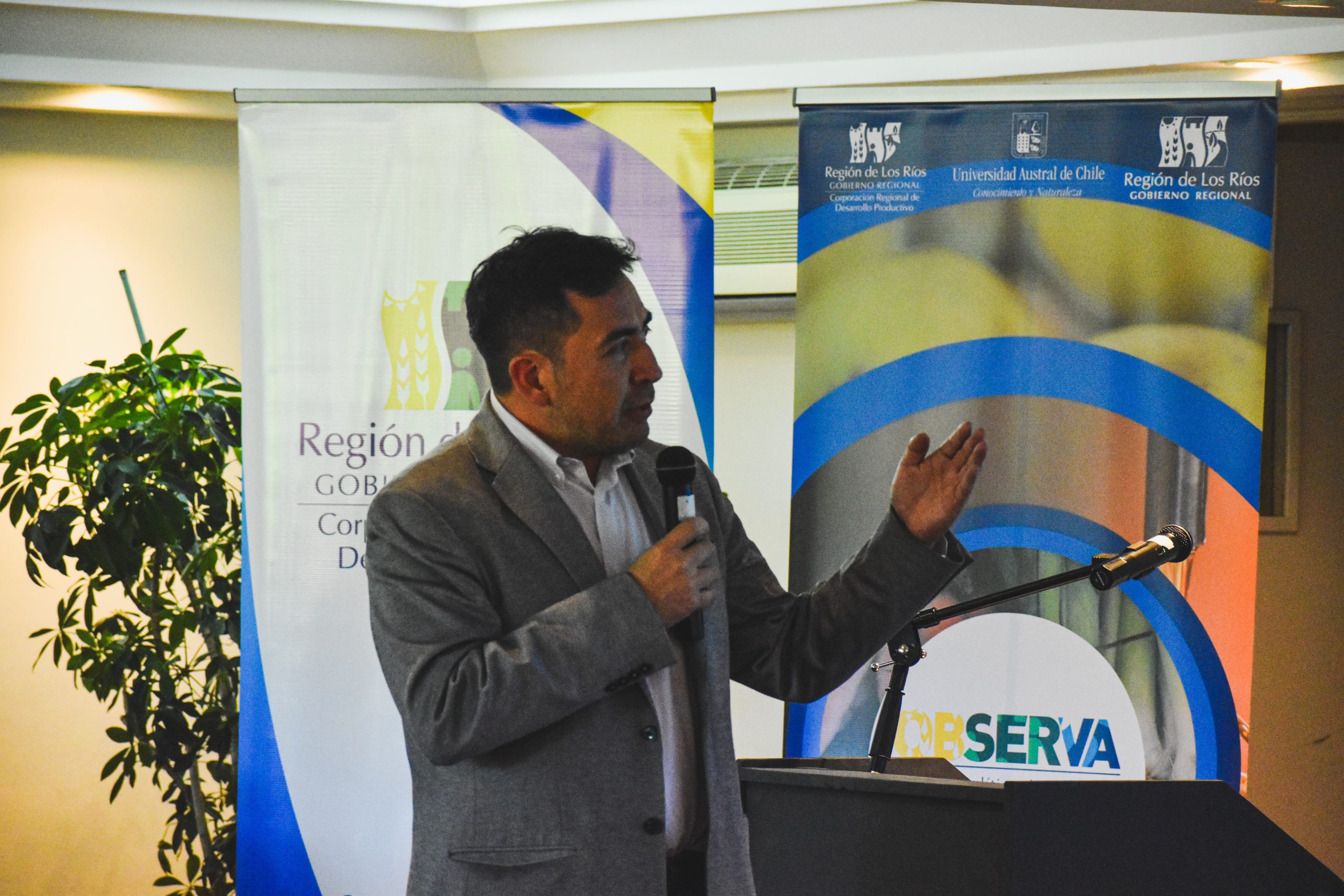 Sesión de Gobernanza 4